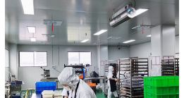 Air Disinfection Machine Application in Baking Plant Air Disinfection Machine Application in Baking Plant