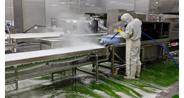 Deep learning of  WONE foam cleaning machine