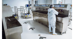 In a Food Factory, When Should Workers Wash Their Hands?