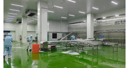 How to set foam cleaning in a 5000-square-meter food workshop?