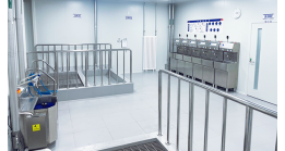 Necessary Food Factory Cleaning Safeguards Food Safety