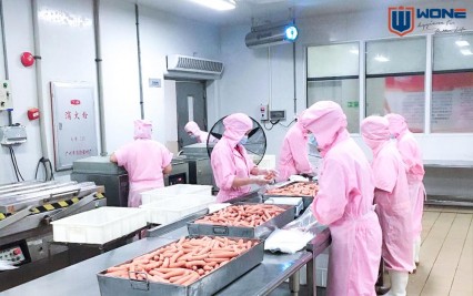 The high-care area of meat processing