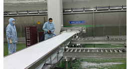 Which workshops in meat processing plants require foam cleaning?