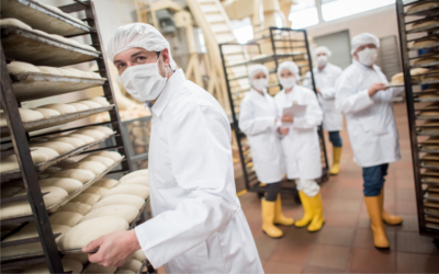 Preparation area of bakery factory